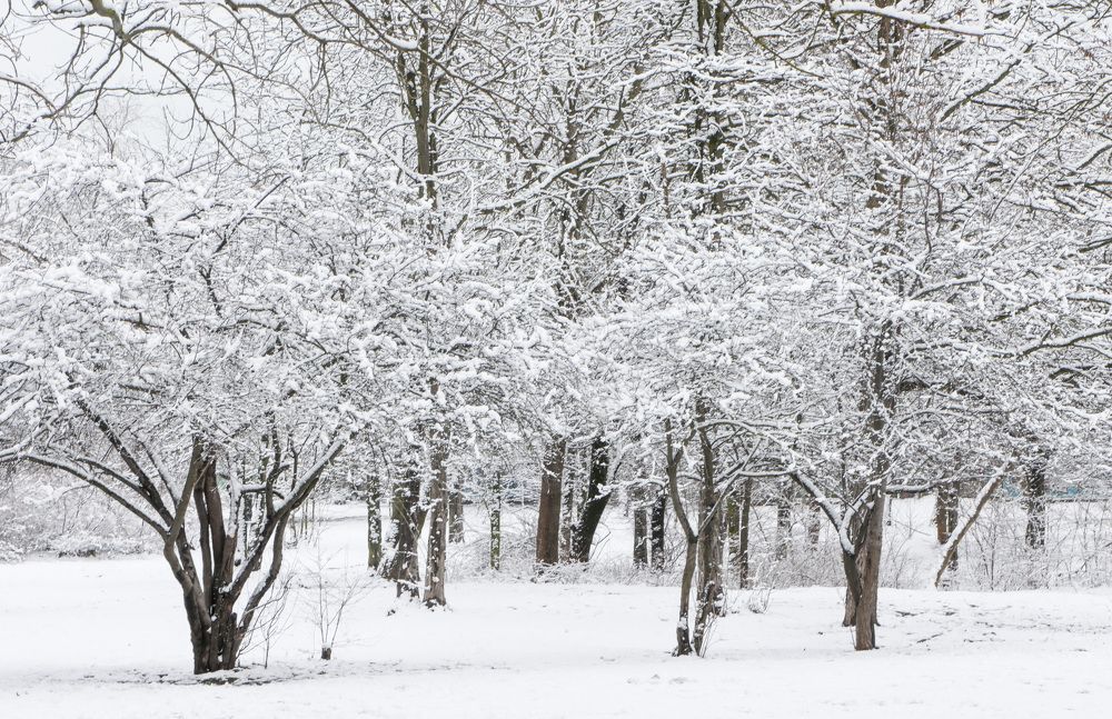 Photograph by Юлия Ковальчук