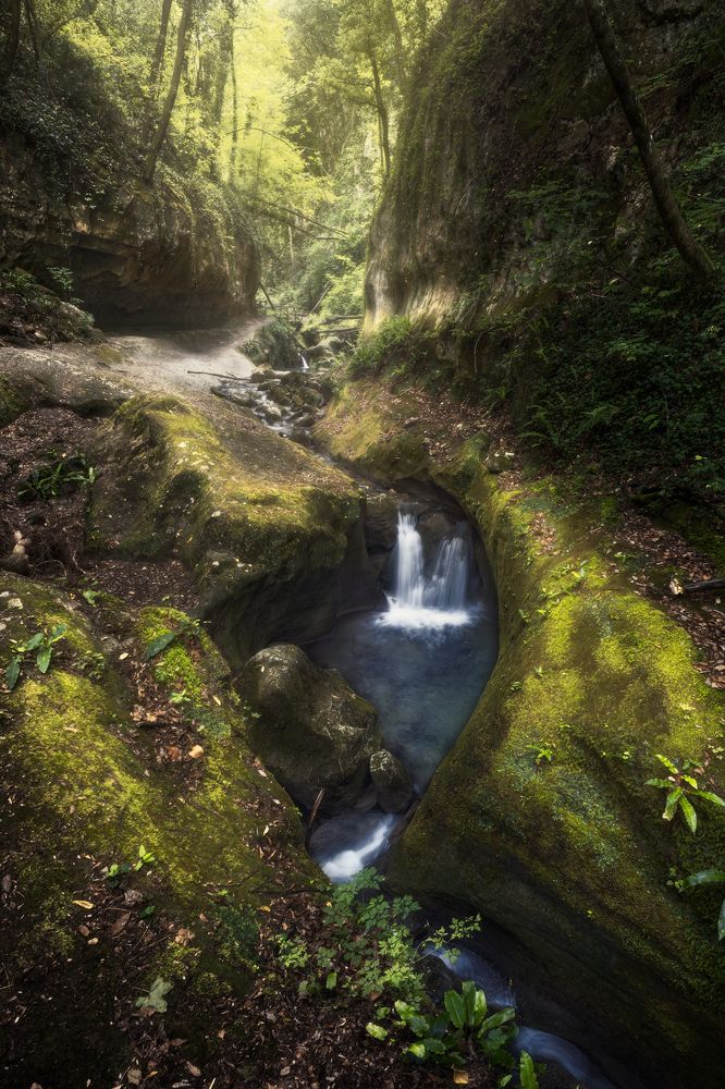 Photograph by Michele Illuzzi