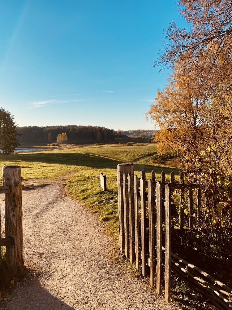 Photograph by Марина Танаева