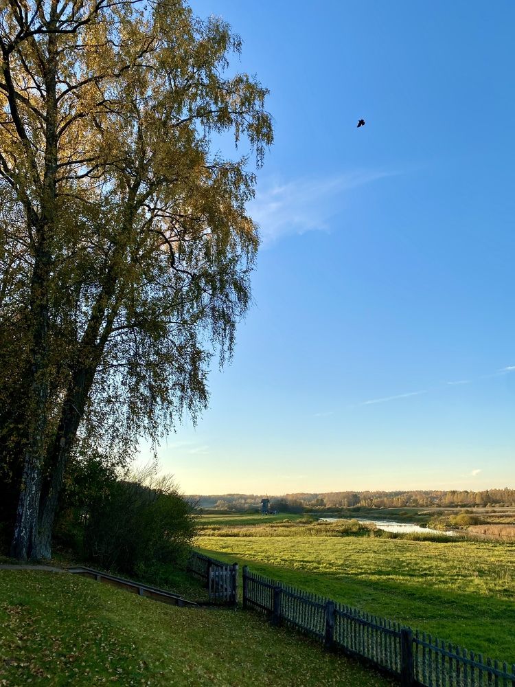 Photograph by Марина Танаева