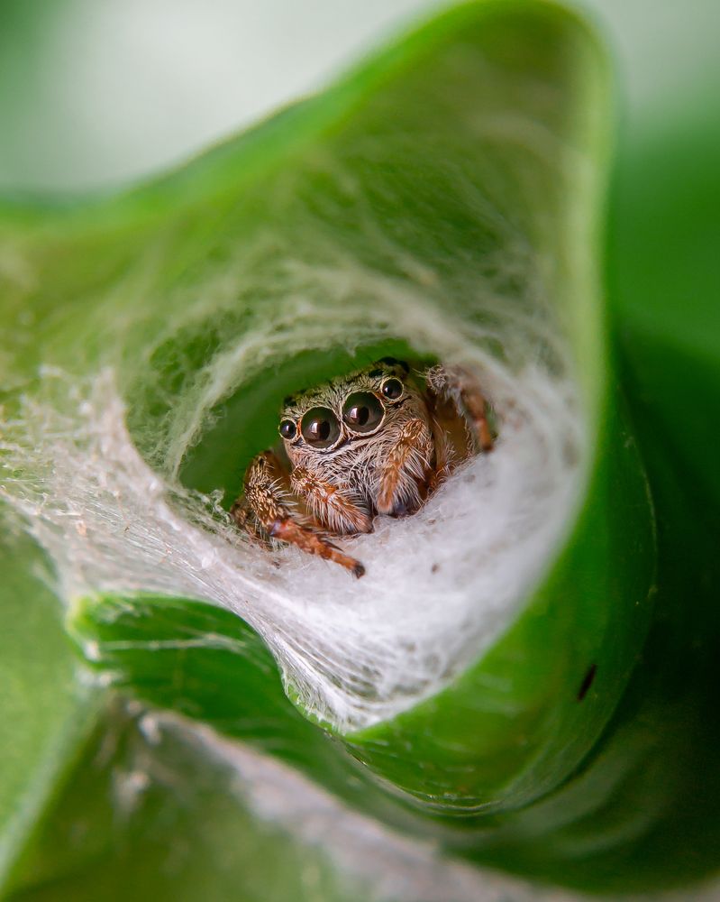 Photograph by Jerian Dale V. Figueroa