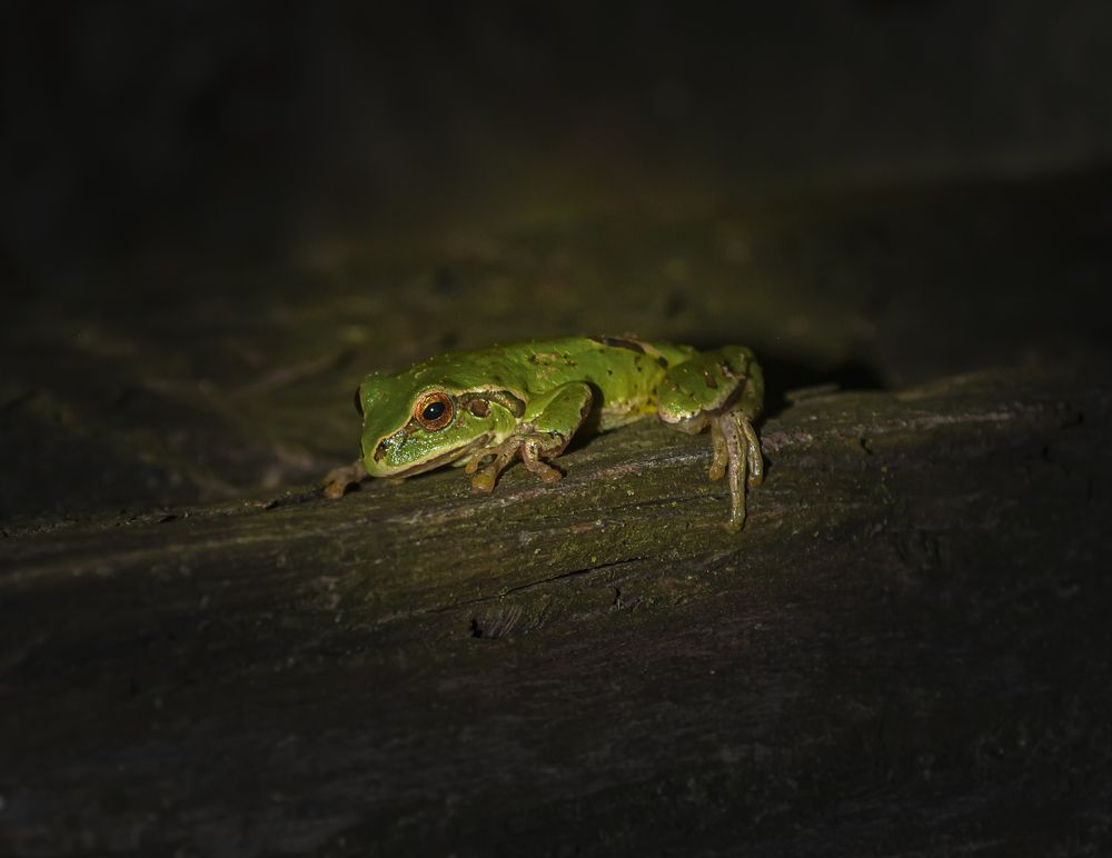 Photograph by Fernando Blancas Santos