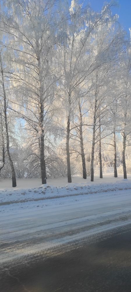 Photograph by Tatiana Kubashina