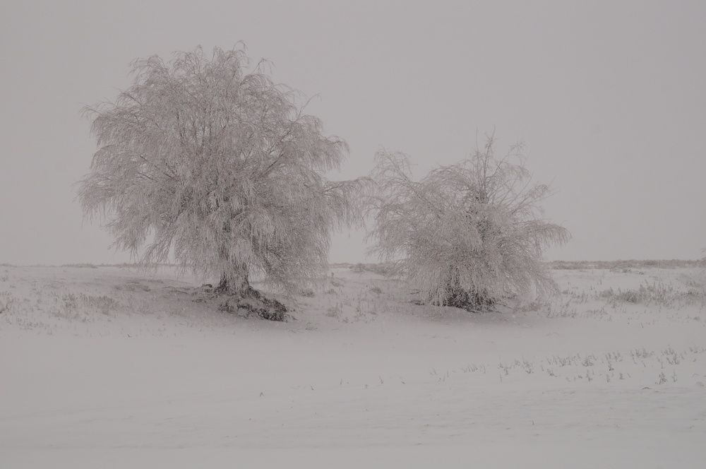Photograph by Павел Колеснев