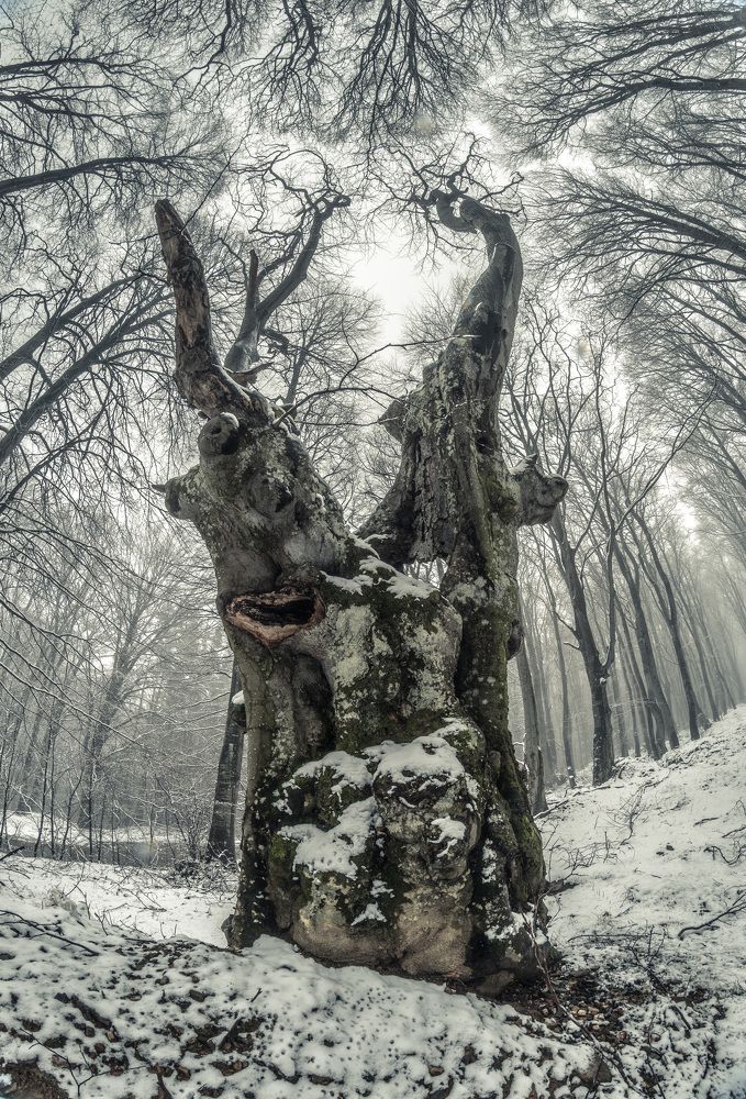 Фотография автора Konstantin Vladov