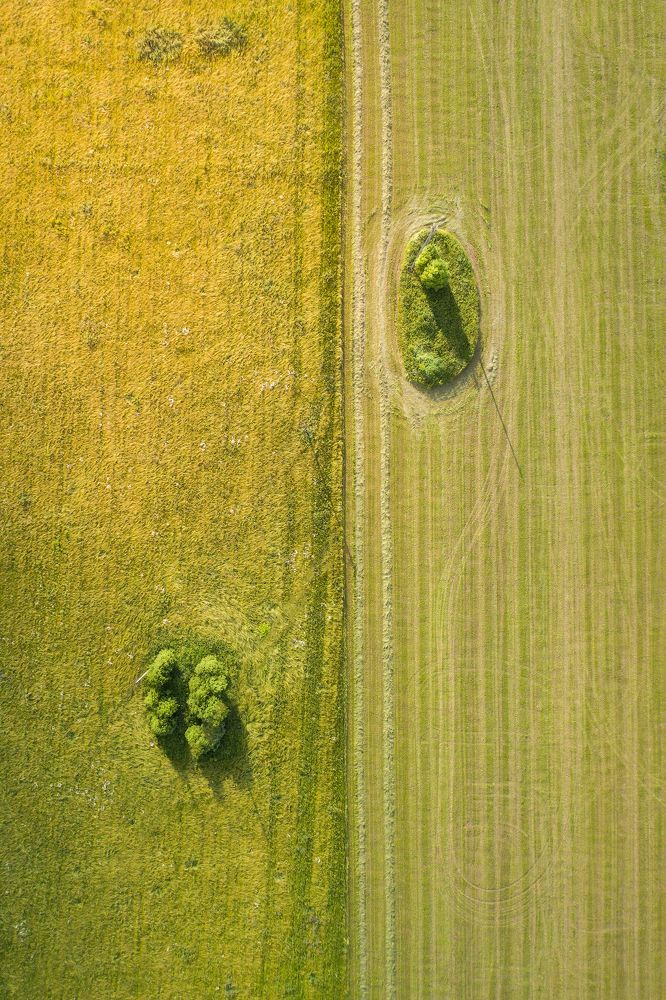 Photograph by Павел Токарев