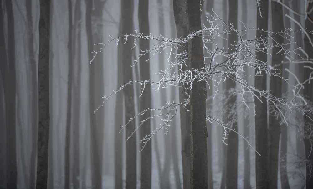 Фотография автора Konstantin Vladov