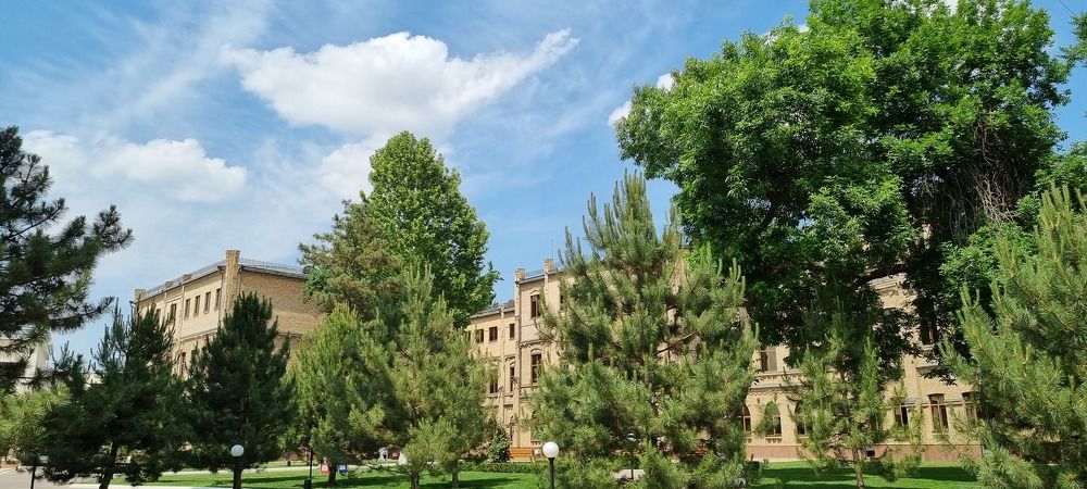 Photograph by Umida Yusupova