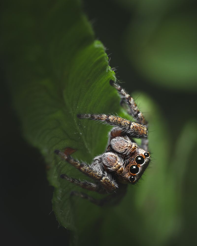 Photograph by Тимофей