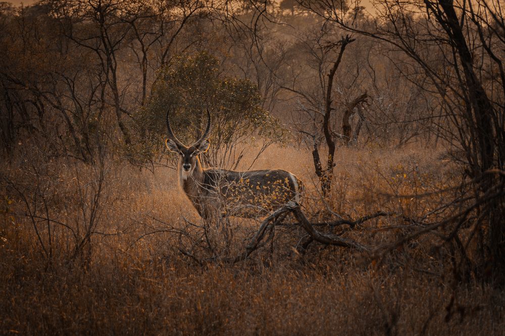 Photograph by Michele Illuzzi