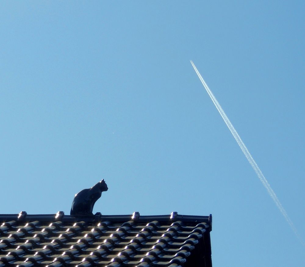 Photograph by Юрий Тихонов