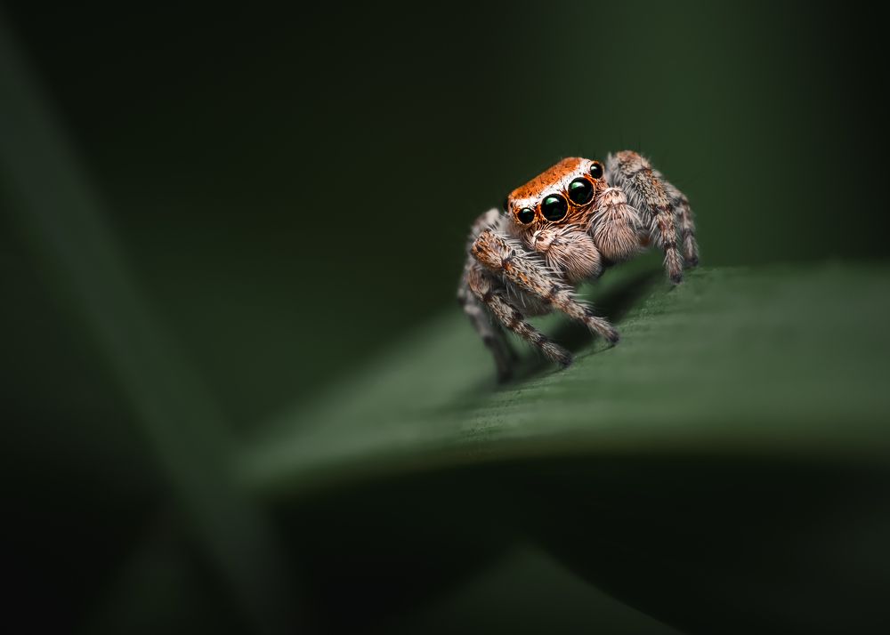 Photograph by Тимофей