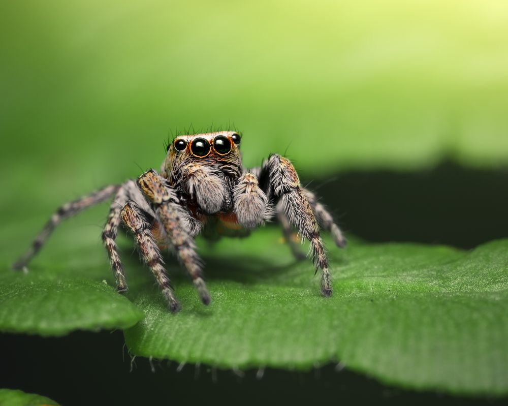 Photograph by Тимофей