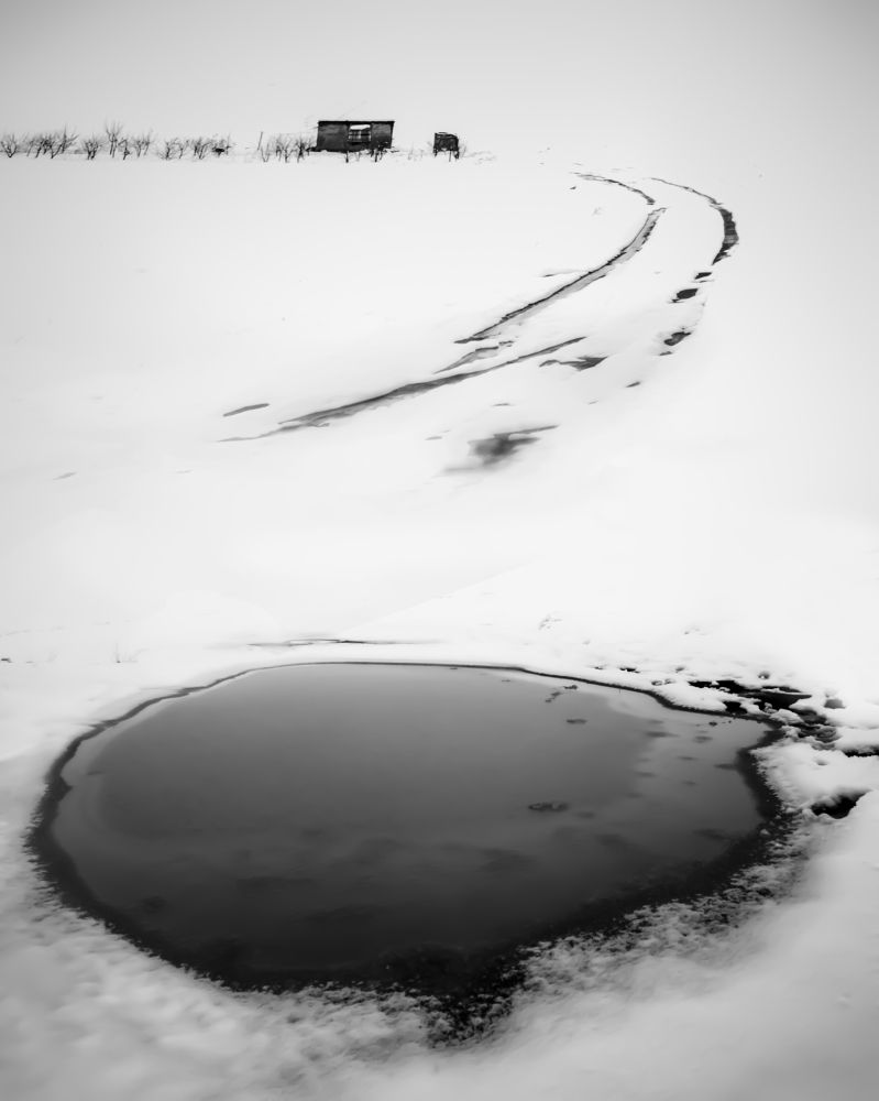 Photograph by Sina Khanbabaei