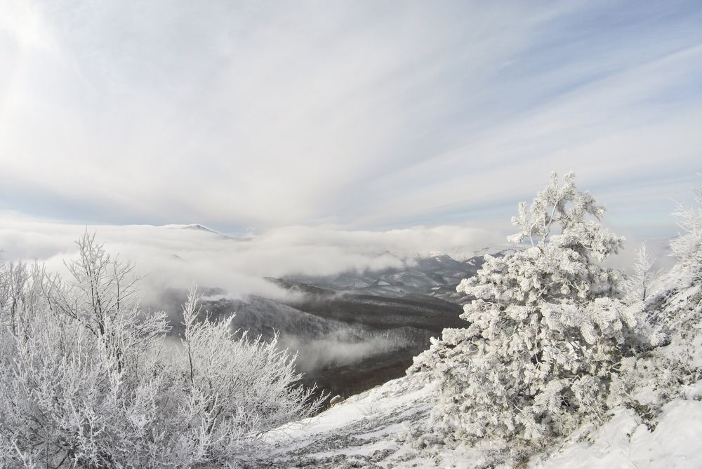 Фотография автора Алексей Самойлов