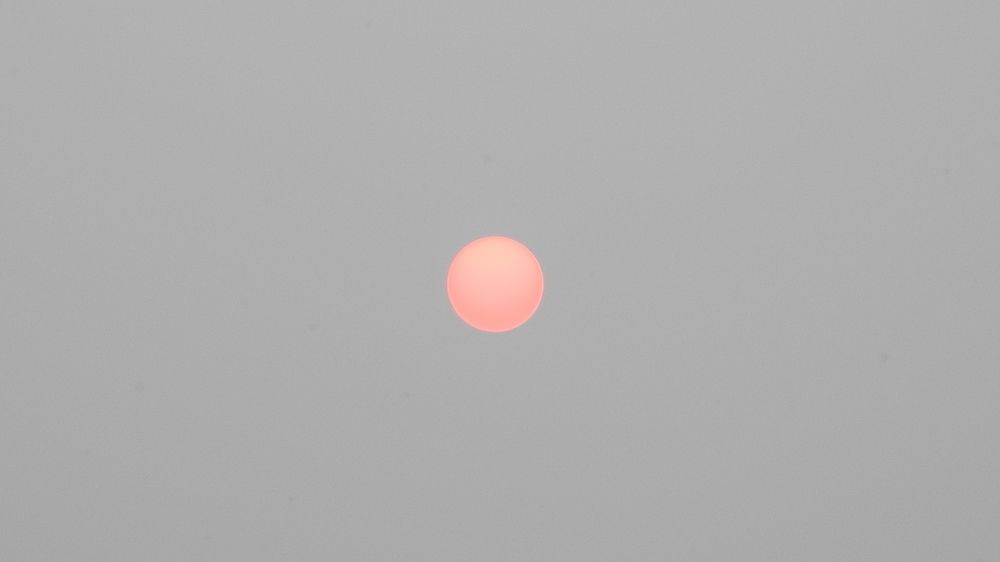 Портрет Солнышка