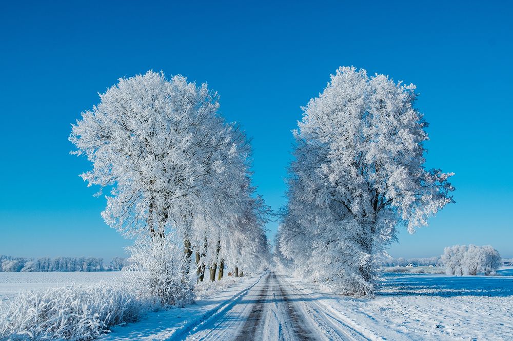 Photograph by Mariusz Najmowicz