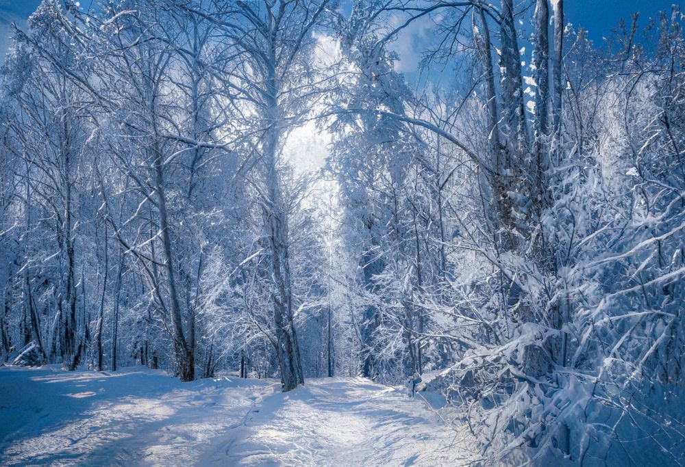 Photograph by Лариса Рулёва