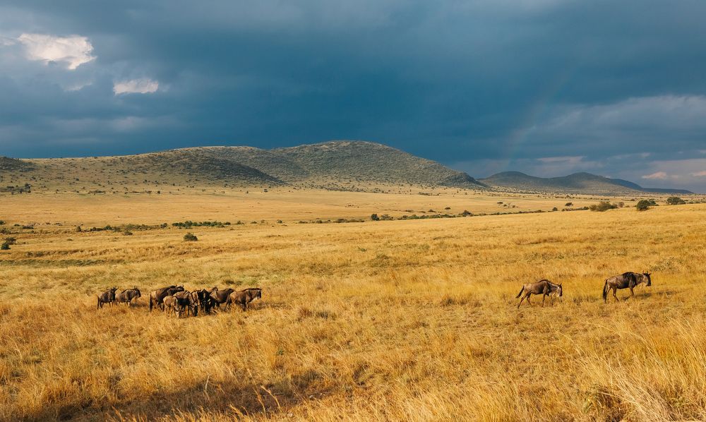 Photograph by Uyriy Serebrov