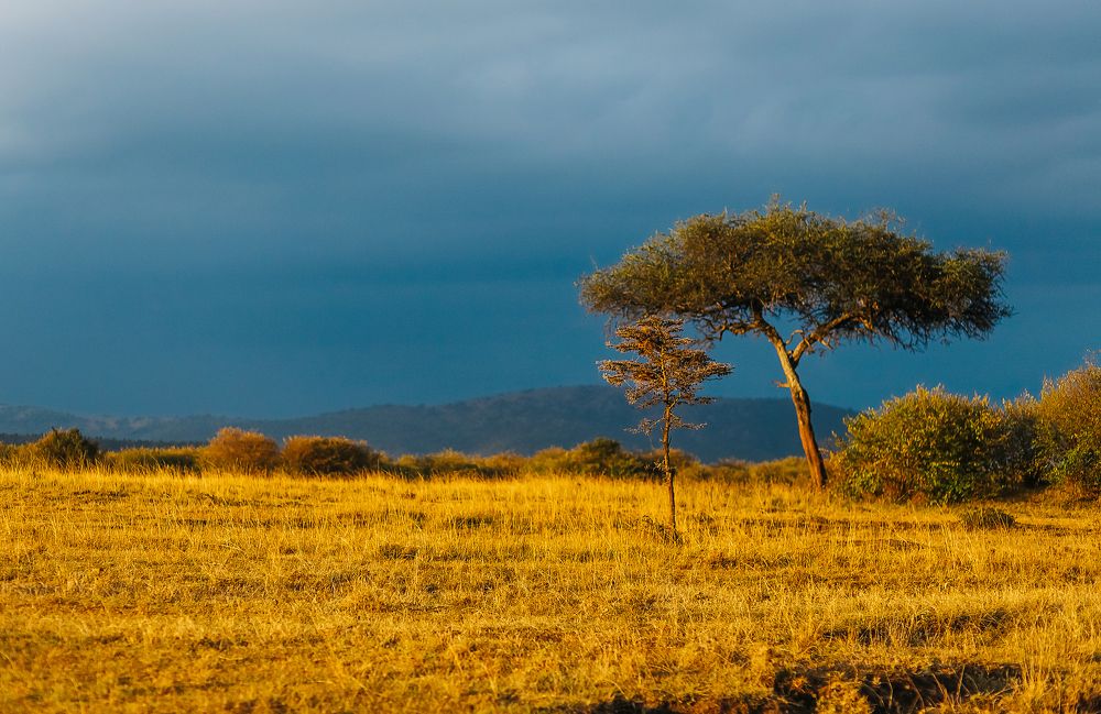 Photograph by Uyriy Serebrov