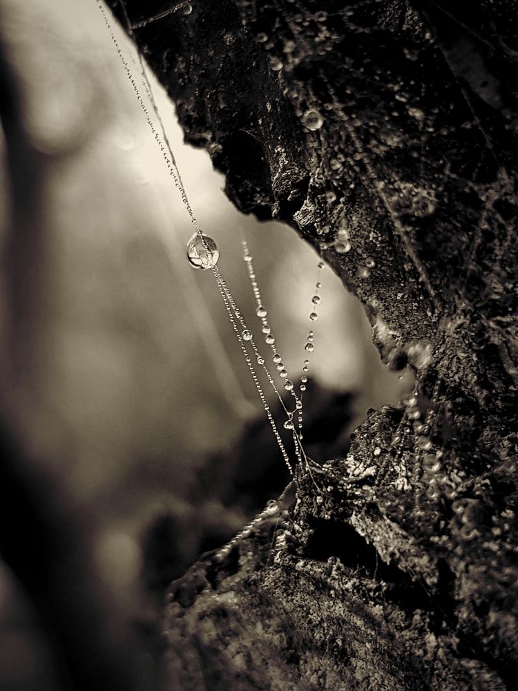 Photograph by Григорий