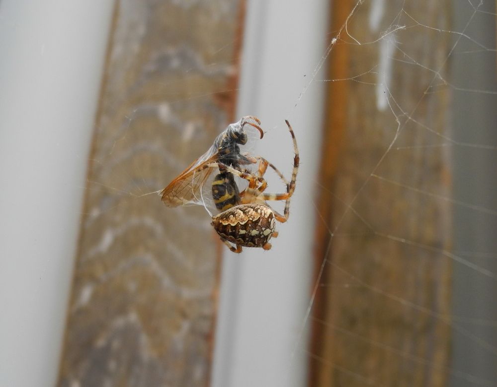 Photograph by Рустэм Жемалетдинов