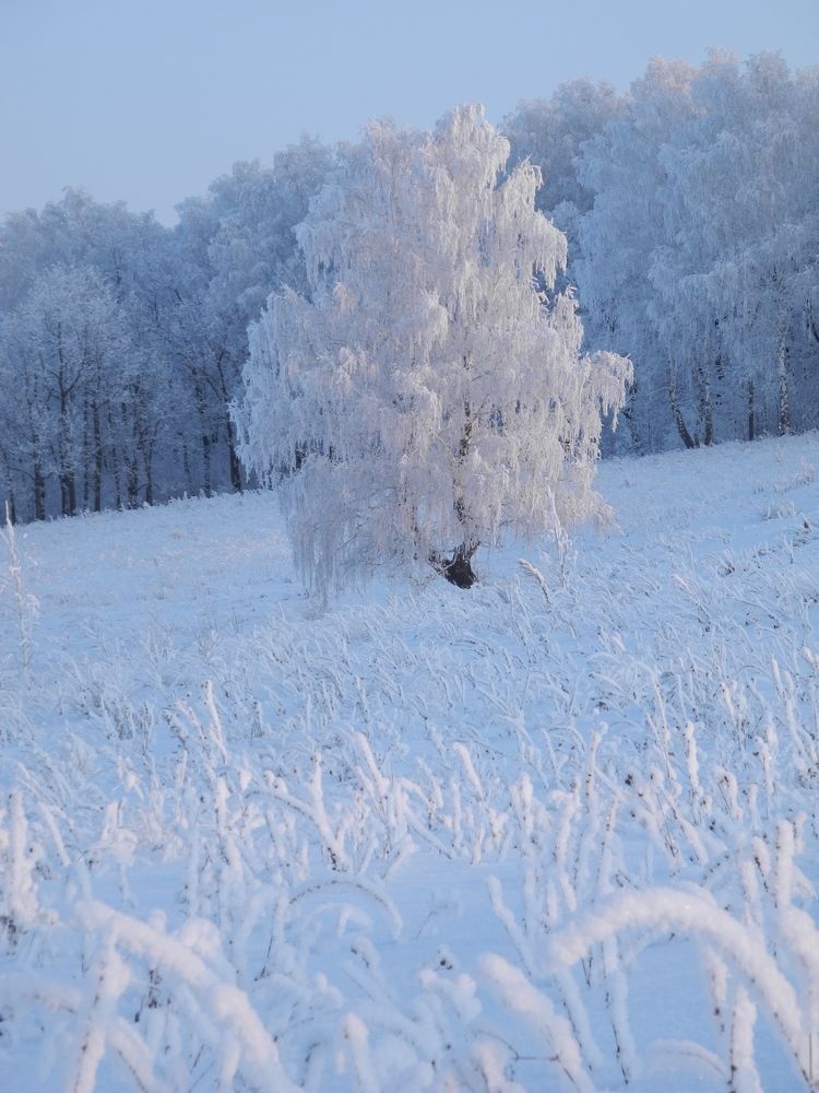 Photograph by Рустэм Жемалетдинов