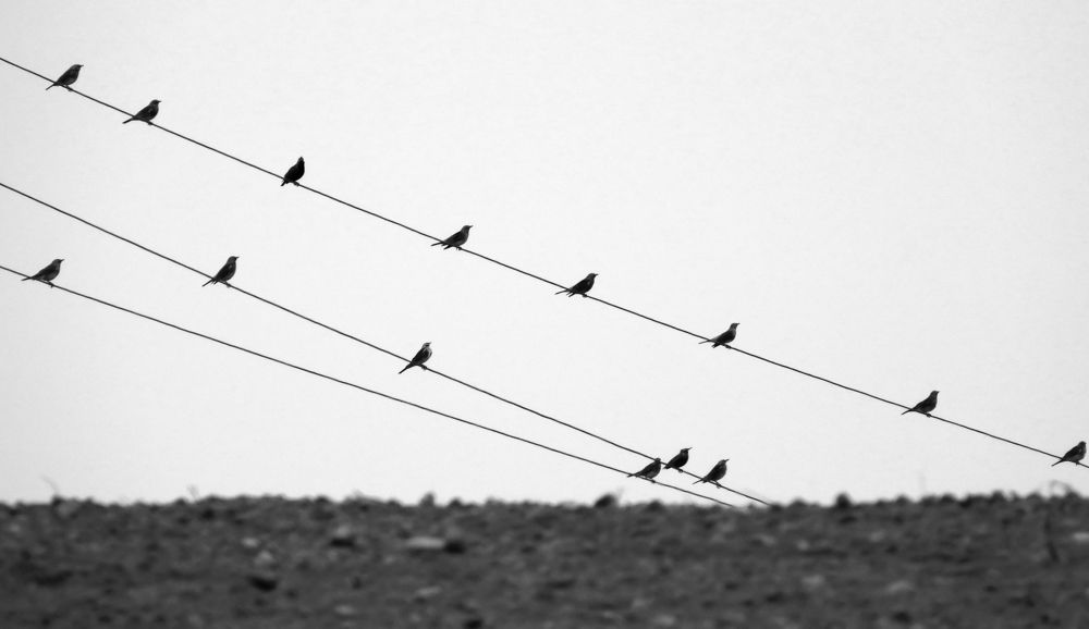 Photograph by Дмитрий Дрозд