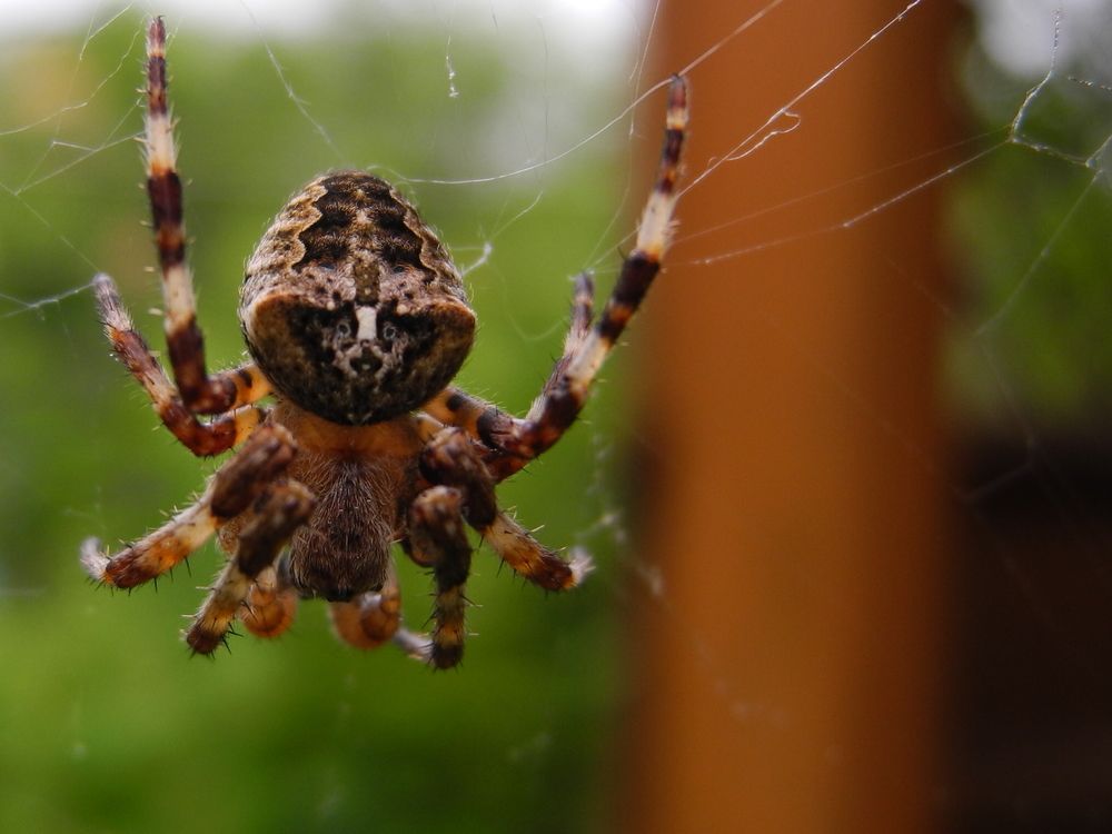 Photograph by Рустэм Жемалетдинов