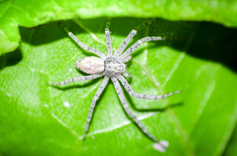 Photograph by Sahar Jafari