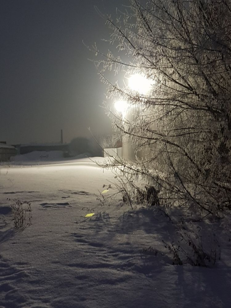 Зимнее утро