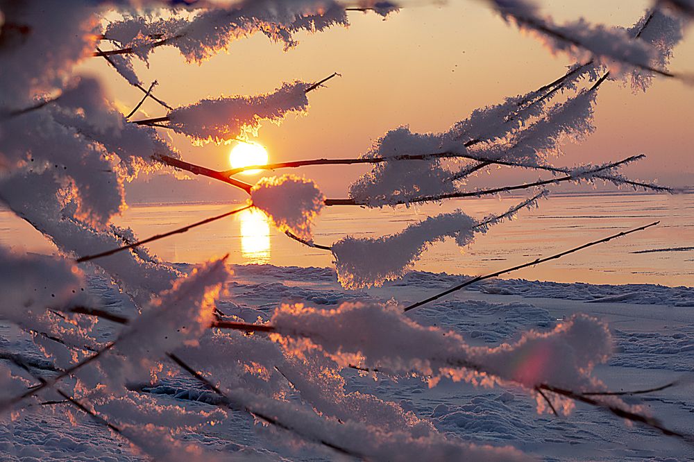 Photograph by Владимир Рубинчик