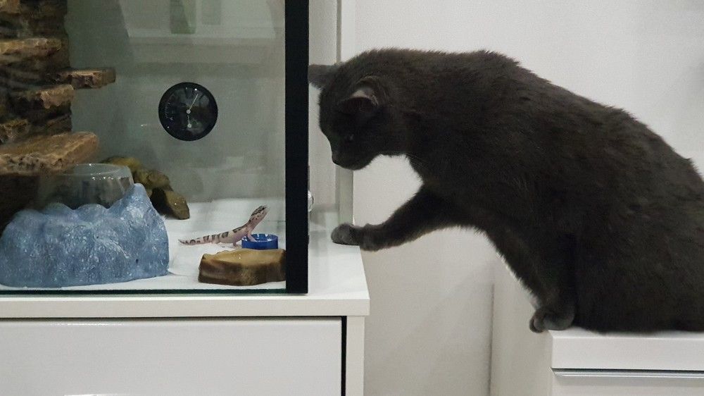 Знакомство