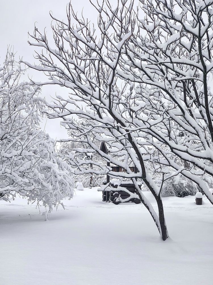 Фотография автора Ольга Игуменова