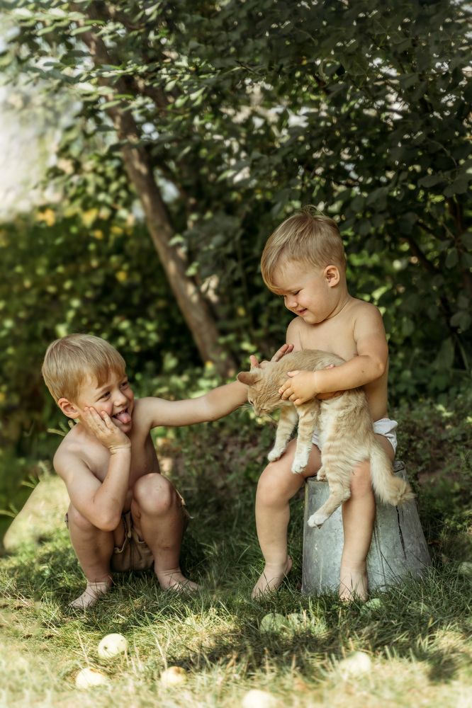 Три рыжика!