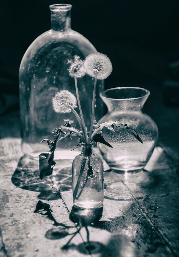 Свет и тени