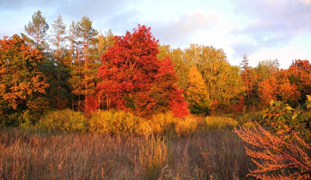 дорогами осени