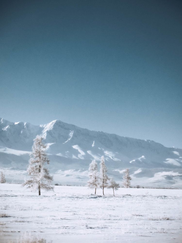 Photograph by Терентьев Георгий