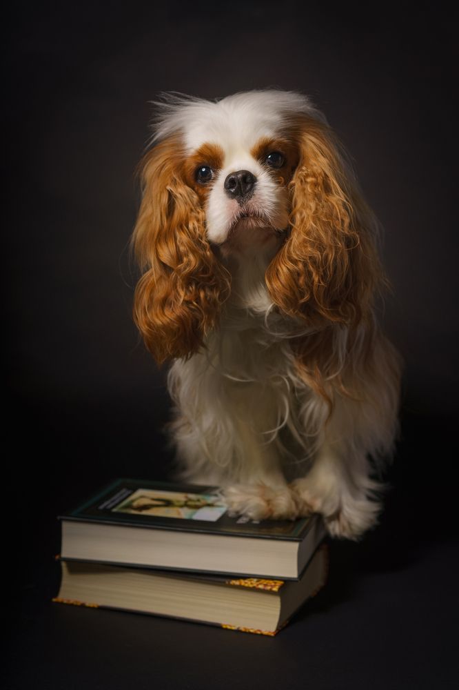 Photograph by Татьяна Предеина