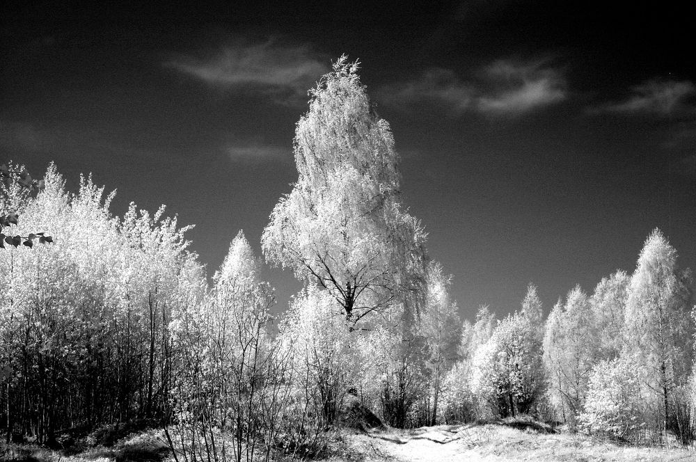 Photograph by Сергей Кузнецов