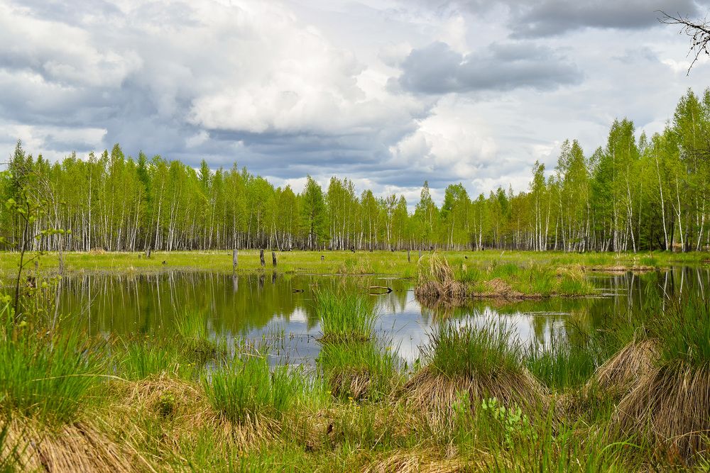 Photograph by Ольга Блохина