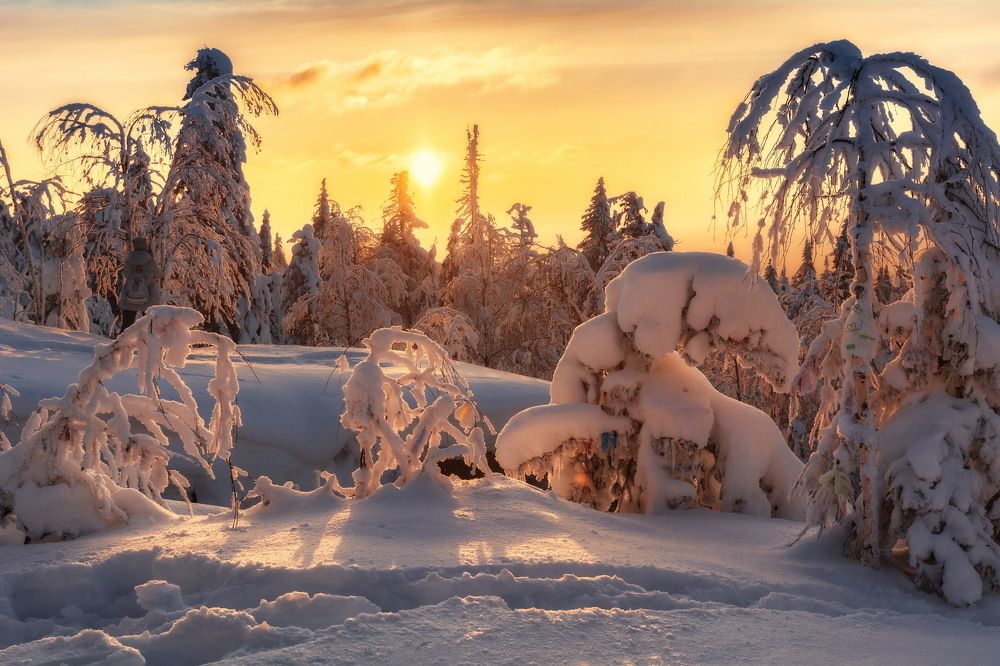 Морозный вечер