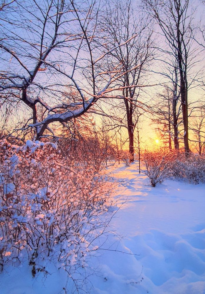 Фотография автора Inna Evseeva