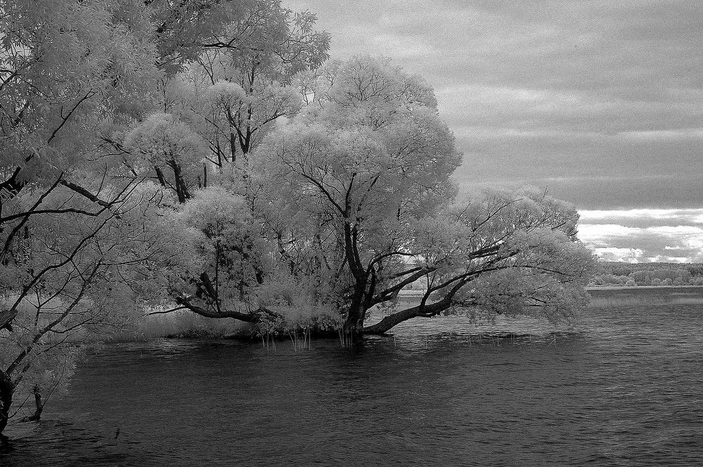 Photograph by Сергей Кузнецов