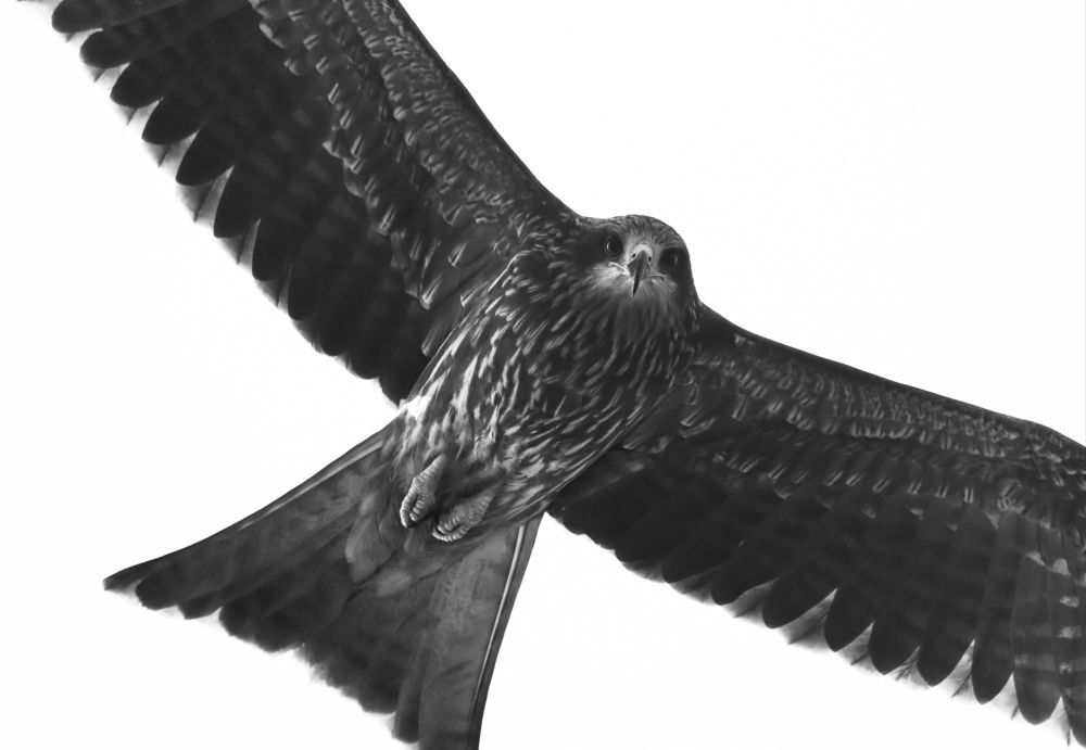 Photograph by Modesto James