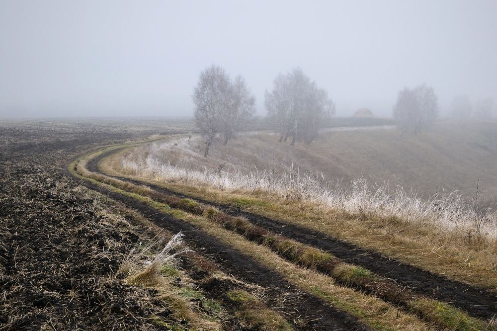 Любое время года надо благодарно принимать...