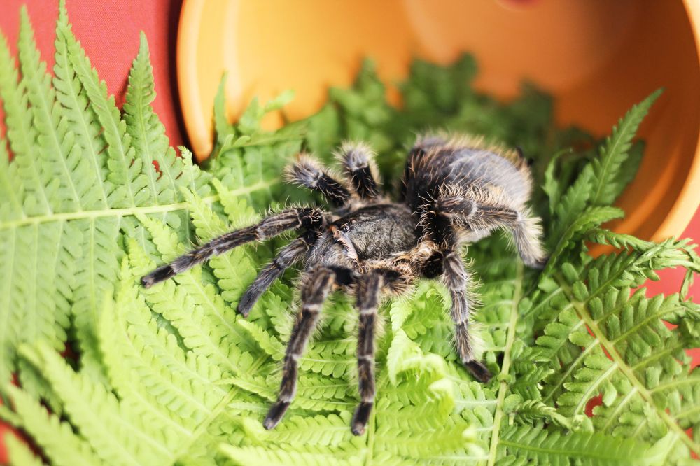 Photograph by Ружана Вячорка