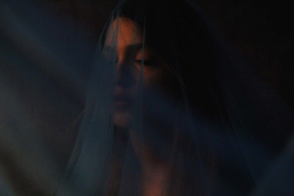 Photo #7192929