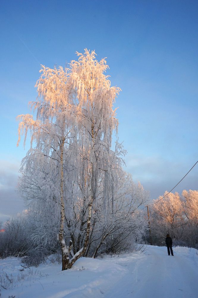 Морозный закат.