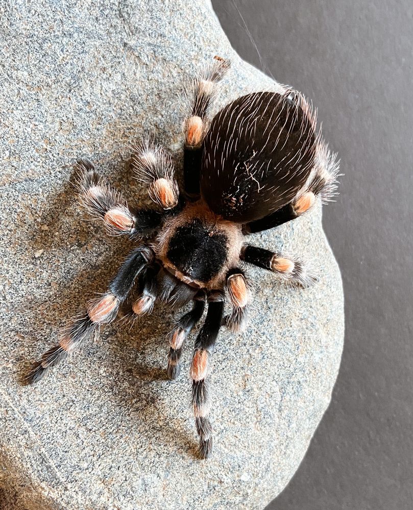 Photograph by Ружана Вячорка